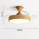 ventilateur-de-plafond-avec-lumi-re-et-contr-le-silencieux-7.png