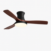 ventilateur de plafond bas avec lumière led et contrôle électrique