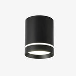 Spot moderne LED cylindre métal coloré Loft