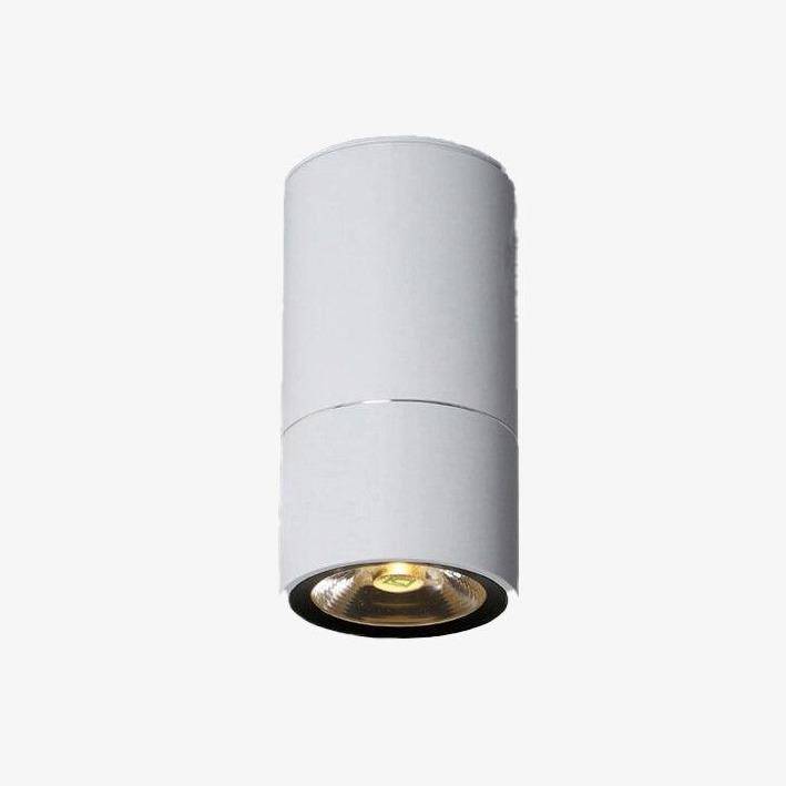 Spot moderne LED rond avec trait fin argenté Loft