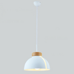 Suspension LED demi-boule colorée Loft