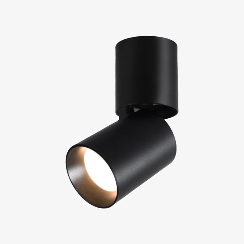 Cylinder of Spotlights with adjustable LEDs