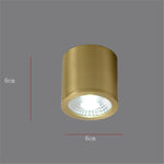 Spot moderne LED cylindrique en métal doré Tarm