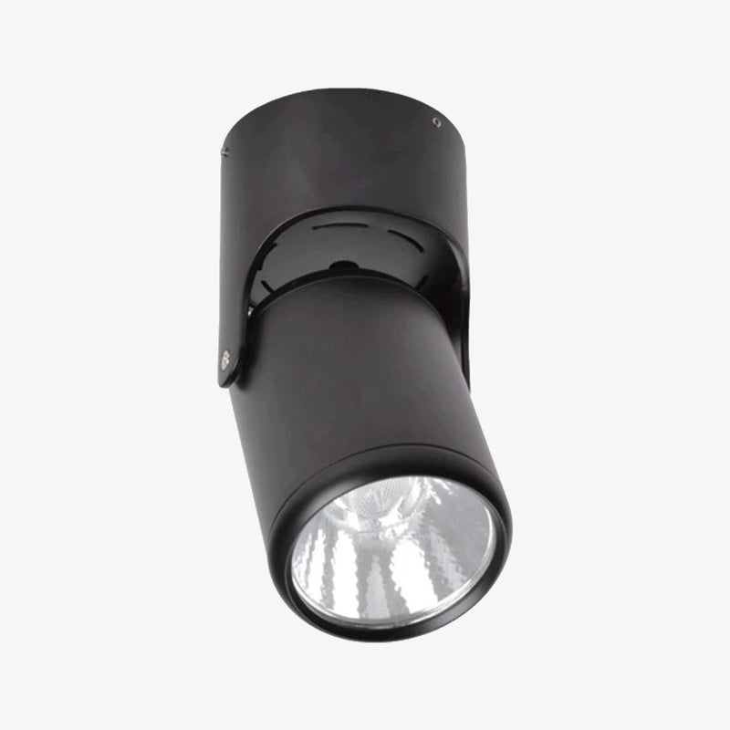 Spotlight Directional LED (black or white)