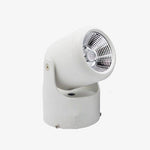 Spot LED directionnel (noir ou blanc)
