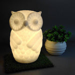 Lampe à poser à LED en forme d'hibou