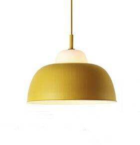 pendant light colored lampshade in industrial metal