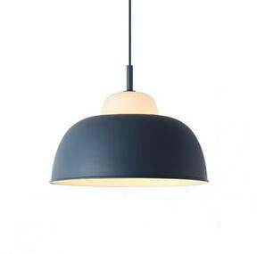 pendant light colored lampshade in industrial metal