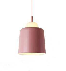 pendant light colored lampshade in industrial metal