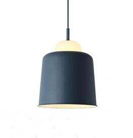 pendant light colored lampshade in industrial metal