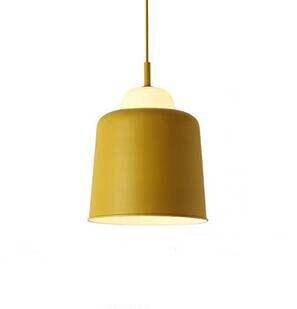 pendant light colored lampshade in industrial metal