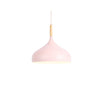 pendant light Colored metal LED and Nordic wooden stick
