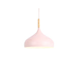 pendant light Colored metal LED and Nordic wooden stick