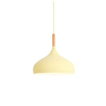 pendant light Colored metal LED and Nordic wooden stick