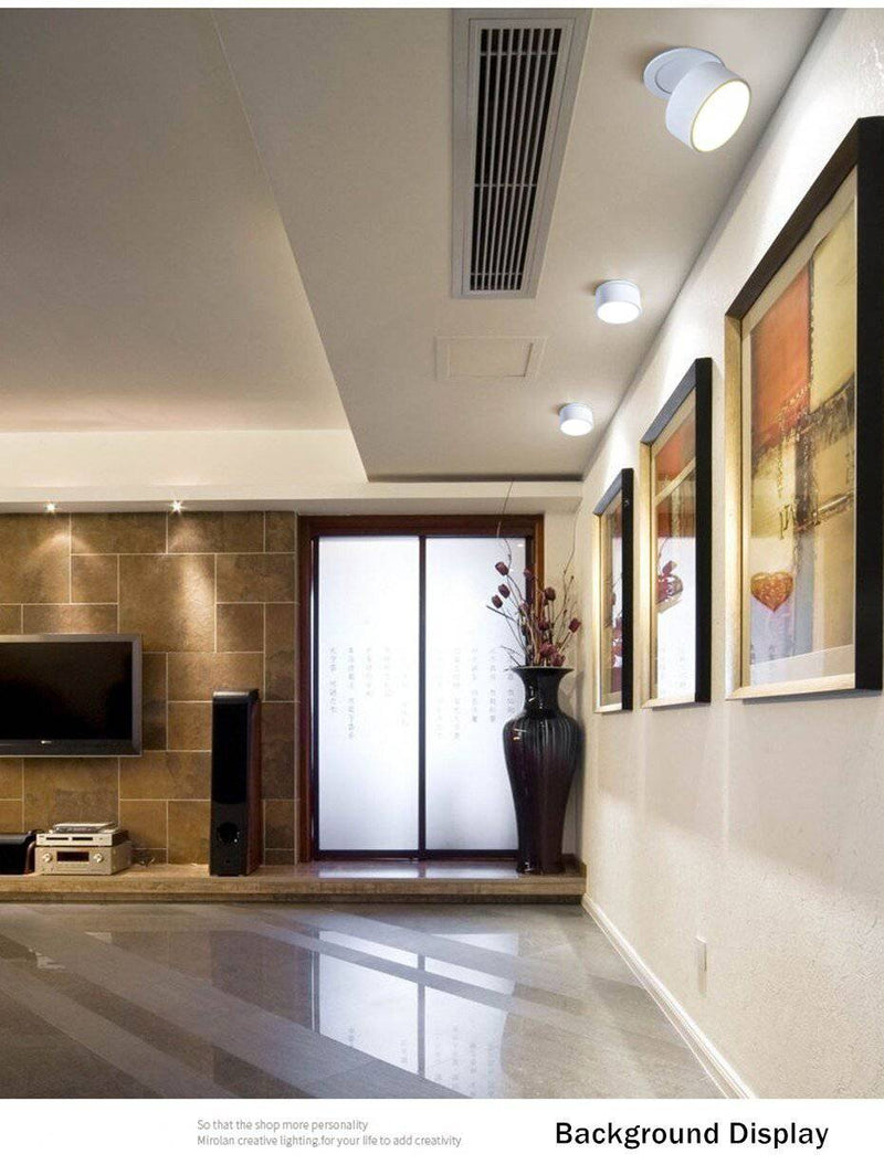 Spot rond LED avec orientation à 360° Light