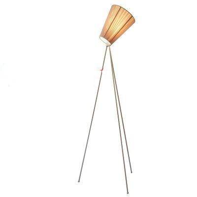 Floor lamp Creative LED tripod iron design