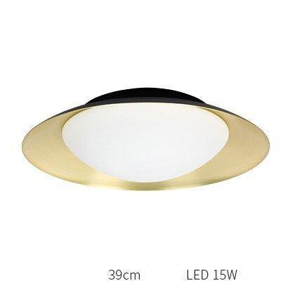 Moderna lámpara de techo LED con pantalla redonda y bola de luz
