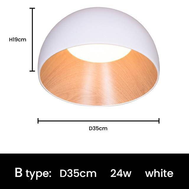 LED ceiling lamp with oval shapes, minimalist style Loft