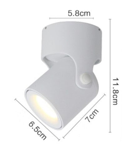 Spot rond à LED ajustable Obby