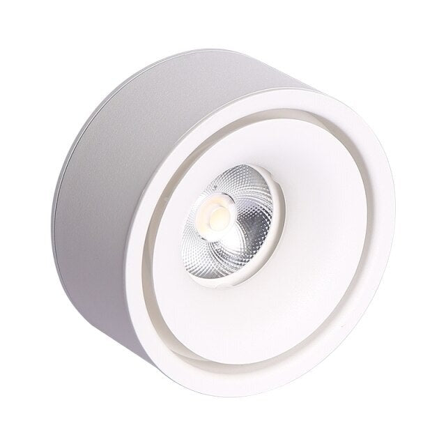 Spotlight modern LED round metal flush mount Lory