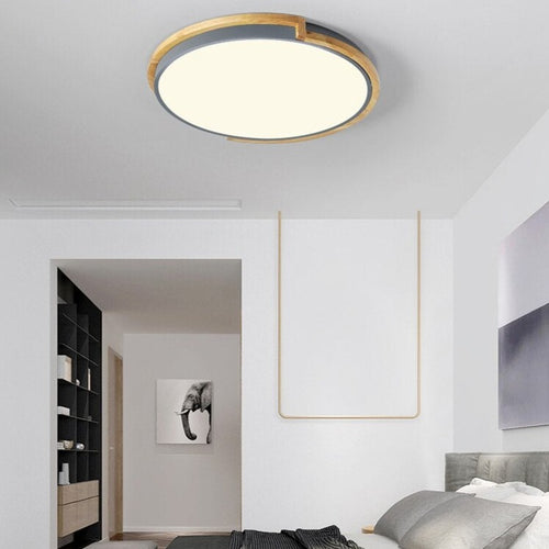 Celeste modern minimalist round ceiling lamp with dimmable light