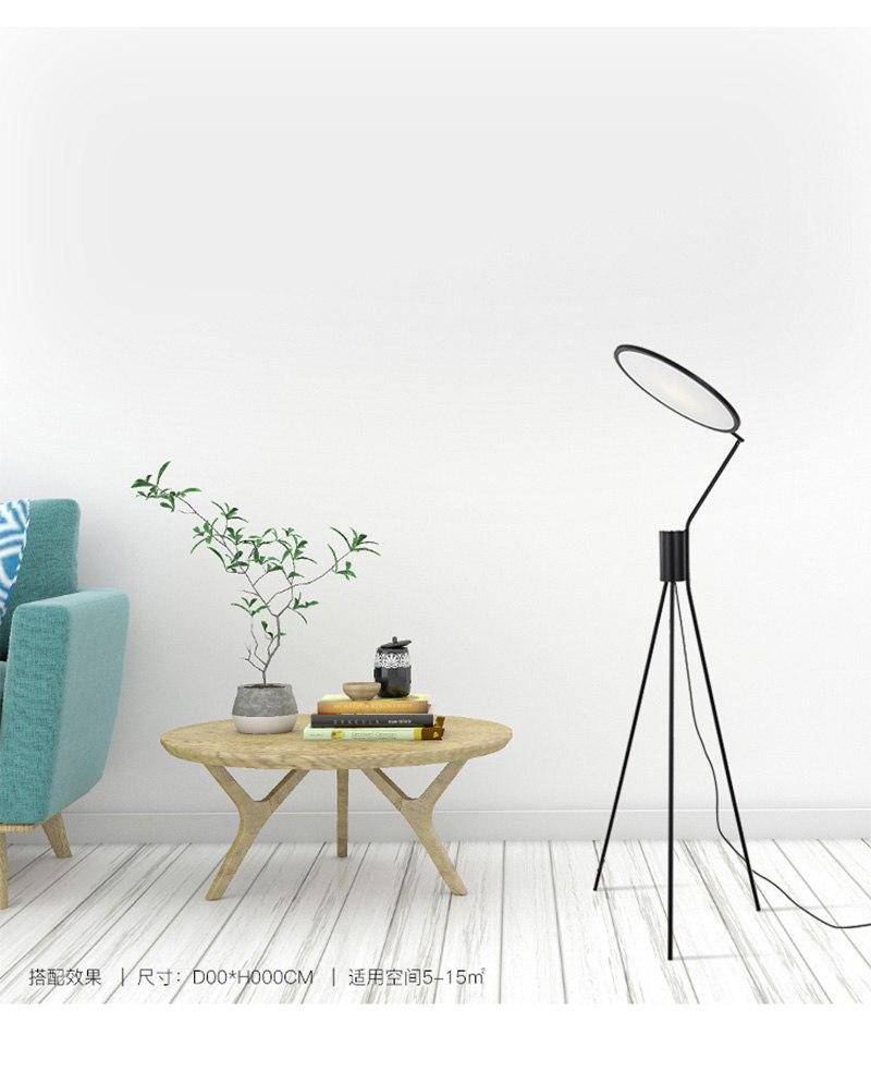 Floor lamp modern design with round lamp Pendant