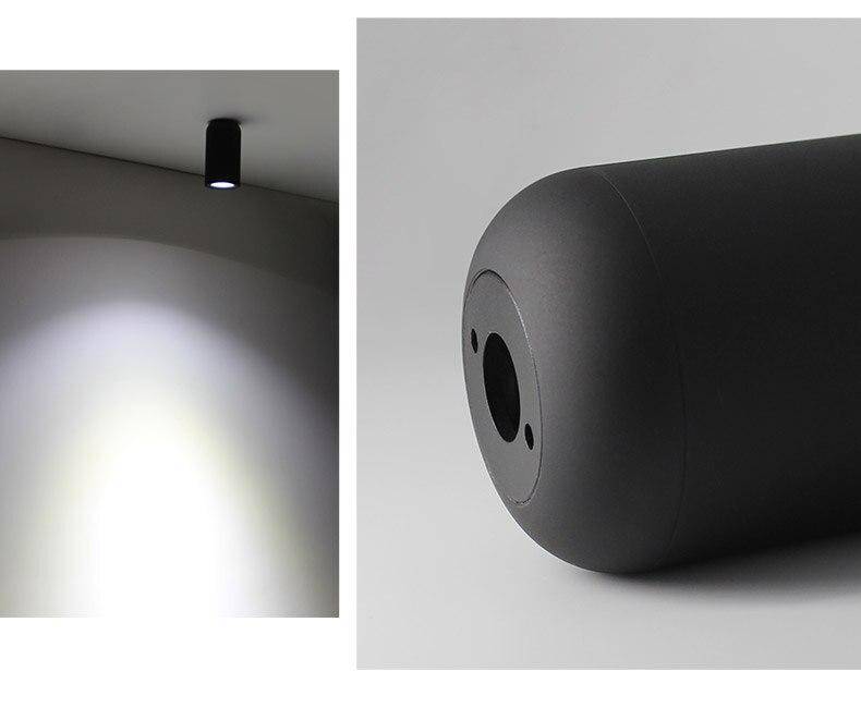 Spotlight with rounded cylindrical design Mount