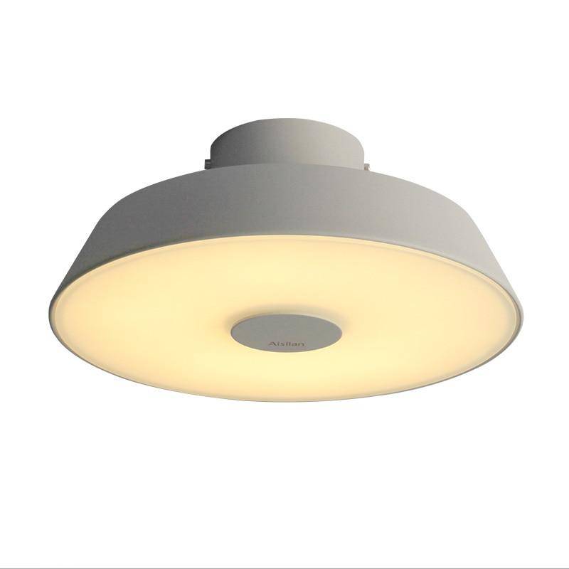 Circle round aluminium LED ceiling light