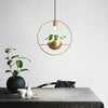 Suspension LED design cercle avec boule à plante Ring
