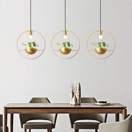 Suspension LED design cercle avec boule à plante Ring - vue 4 sur 6